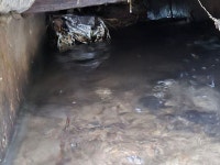 240731일 농로 막힘, 관통 및 원인 분석, 문제점 대책. - 마을 이야기 - 포항 문충골 240731일 농로 막힘, 관통 및 원인 분석, 문제점 대책.