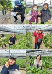 고양시 수어통역센터와 함께하는 남양주 탐방 - 공지 및 행사알림 - 고양시농아인협회(부설 고양시수어통역센터) 고양시 수어통역센터와... 