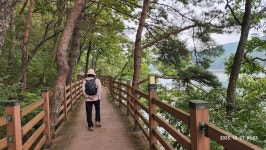 장성 나들이 둘째 날 - 장성호수변길 - 나들이 - 신산경표 장성 나들이 둘째 날 - 장성호수변길