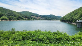 음성 나들이 2 - 백야수목원. 용계저수지둘레길 - 나들이2026 - 신산경표 음성 나들이 2 - 백야수목원. 용계저수지둘레길