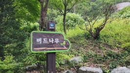음성 나들이 2 - 백야수목원. 용계저수지둘레길 - 나들이2026 - 신산경표 음성 나들이 2 - 백야수목원. 용계저수지둘레길