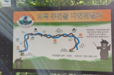 10월 정기산행.설악산.주전골.오색약수.용소폭포 - ..공지 사항.. - 부평 정다운산악회 10월 정기산행.설악산.주전골.오색약수.용소폭포