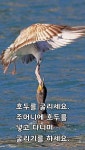투자자의 건강한 삶을 위한 팁 - 건강과 생활 - 익산 배산 사랑으로 1차 부영 아파트 투자자의 건강한 삶을 위한 팁