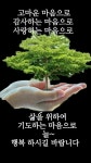 득도(得道) - 마음의 창 - 익산 배산 사랑으로 1차 부영 아파트 득도(得道)
