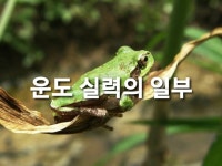 운도 실력의 일부 - 마음의 창 - 익산 배산 사랑으로 1차 부영 아파트 운도 실력의 일부