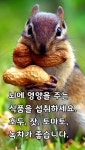 투자자의 건강한 삶을 위한 팁 - 건강과 생활 - 익산 배산 사랑으로 1차 부영 아파트 투자자의 건강한 삶을 위한 팁