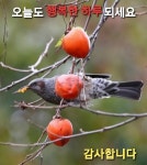 [고향] 별장 - 마음의 창 - 익산 배산 사랑으로 1차 부영 아파트 [고향] 별장