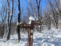 《361차》26,02,19(목)/평창,고루포기산 - 정기산행예약방 - 송파산마루산악회 《361차》26,02,19(목)/평창,고루포기산