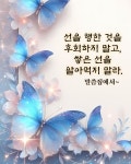 1구역 [3/12(수) 이촌1동 대국민교육 실시] - 용산구 효정봉사단 - 천원궁 천승대교회 1구역 [3/12(수) 이촌1동 대국민교육 실시]