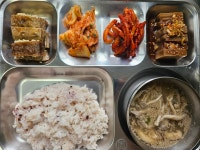 2023년 11월 17일 식단사진 - 식단사진 - 사회복지법인 운가자비원 운가데이케어센터 2023년 11월 17일 식단사진