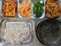 2023년 12월 15일 식단사진 - 식단사진 - 사회복지법인 운가자비원 운가데이케어센터 2023년 12월 15일 식단사진