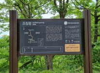 조침령 곧은골 - 개인산행 사진 - 대전자일산악회 조침령 곧은골