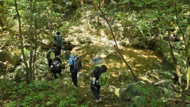 지리산 둘레길 송정ㅡ오미 2025. 7. 27 - 지리둘레길 산행 사진 - 우정산그리뫼~ 지리산 둘레길 송정ㅡ오미 