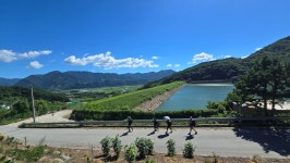지리산 둘레길 송정ㅡ오미 2025. 7. 27 - 지리둘레길 산행 사진 - 우정산그리뫼~ 지리산 둘레길 송정ㅡ오미 