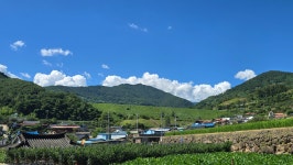 지리산 둘레길 송정ㅡ오미 2025. 7. 27 - 지리둘레길 산행 사진 - 우정산그리뫼~ 지리산 둘레길 송정ㅡ오미 