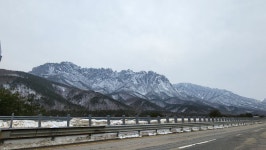 [인제 맛집]백담사 입구 황태 덕장 북면 용대리 ＜백담황태구이＞ 두툼한 황태구이와 산나물 밥상, 산사의 고요한 분위기까지 - 강원춘천 맛집... 