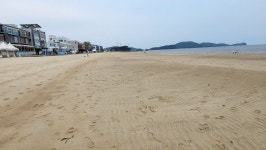 [안산 가볼만한곳] 대부도의 명소 ＜방아머리해수욕장＞ 해송과 너른... 명소 ＜방아머리해수욕장＞ 해송과 너른 모래사장이 어우러진 곳, 새우깡... 