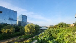 [성남 판교가볼만한곳] 분당 ＜테크노벨리 테크노파크공원＞ 자연과 첨단과학과 일상의 조화, 아침 햇살아래 운중천 엔시소프트빌딩 - 경기인천...