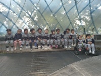 가을소풍 - 24년도 우리들의 이야기 - 호계아이 어린이집 가을소풍