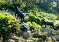 제844차(년7차)정기산행:완도 약산도 삼문산 시산제 산행 (2026년... (년7차)정기산행:완도 약산도 삼문산 시산제 산행 (2026년 2월 22일.... 