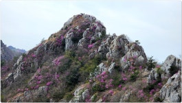 제850차(연13차)정기산행:강진 덕룡산 암릉과 남주작산... (연13차)정기산행:강진 덕룡산 암릉과 남주작산&주작공룡능선 종주산행... 