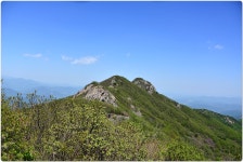 제854차(연17차) 정기산행:경남 산청 황매산-감암산 환종주 철쭉산행[2026년 5월 10일(일) 6시] - ♥ 정기산행 공지 및 신청 - 첨단산악회... 