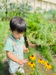❣️목련반❣️놀이하며 즐거움을 경험해요.🥁🛝📚👑🍉 - 목련 반(20년생) - 사회복지법인 주덕어린이집 ❣️목련반❣️놀이하며... 