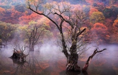 [기획] 서산 갯마을산악회 제115차 정기산행(청송 주왕산~주산지 & 경주 일원)...1박 2일 가을여행 - 산행(여행) 안내&신청 - 서산 갯마을산악회... 