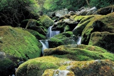 서산갯마을산악회, 제113차 정기산행(평창 가리왕산--이끼폭포)...... 서산갯마을산악회, 제113차 정기산행(평창 가리왕산--이끼폭포)...100대 명산