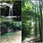 서산갯마을산악회, 제125차 정기산행(충북괴산 칠보산...쌍곡계곡) - 산행(여행) 안내&신청 - 서산 갯마을산악회 서산갯마을산악회, 제125차... 
