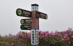 서산갯마을산악회, 제133차 정기산행(전남 보성군 초암산)...철쭉 산행... 서산갯마을산악회, 제133차 정기산행(전남 보성군 초암산)...철쭉 산행
