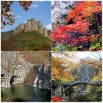 [기획] 서산 갯마을산악회 제115차 정기산행(청송 주왕산~주산지 & 경주 일원)...1박 2일 가을여행 - 산행(여행) 안내&신청 - 서산 갯마을산악회... 