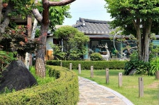 다산 생태공원 05-29/2025 - ♣[B]반-출사 사진♣ - 중랑노인종합복지관 동아리 다산 생태공원 05-29/2025