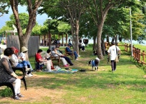 다산 생태공원 05-29/2025 - ♣[B]반-출사 사진♣ - 중랑노인종합복지관 동아리 다산 생태공원 05-29/2025