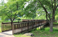 다산 생태공원 05-29/2025 - ♣[B]반-출사 사진♣ - 중랑노인종합복지관 동아리 다산 생태공원 05-29/2025