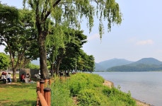 다산 생태공원 05-29/2025 - ♣[B]반-출사 사진♣ - 중랑노인종합복지관 동아리 다산 생태공원 05-29/2025