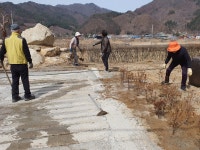 루카 구역 연산홍 심는날 - 본 당 앨 범 - 황둔성당 루카 구역 연산홍 심는날