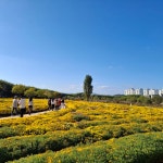11월3일(일):함월산(해파랑길)-신선산-솔마루길-태화강국가정원 - 자유 게시판 - 문재인공식팬카페[문팬] 11월3일(일):함월산(해파랑길)-신선산... 