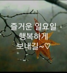 3월22일 일요일 강원출석부 - 강원문팬 - 문재인공식팬카페[문팬] 3월22일 일요일 강원출석부