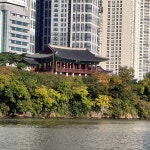 11월3일(일):함월산(해파랑길)-신선산-솔마루길-태화강국가정원 - 자유 게시판 - 문재인공식팬카페[문팬] 11월3일(일):함월산(해파랑길)-신선산... 