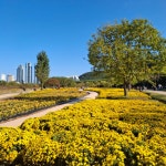 11월3일(일):함월산(해파랑길)-신선산-솔마루길-태화강국가정원 - 자유 게시판 - 문재인공식팬카페[문팬] 11월3일(일):함월산(해파랑길)-신선산... 