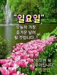 일요일,카톡인사 - ‥‥ⓔ미지 ♡ 자료실 - 향기있는 좋은글 향기있는 좋은글