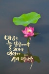 일요일,카톡인사 - ‥‥ⓔ미지 ♡ 자료실 - 향기있는 좋은글 향기있는 좋은글