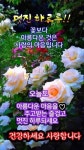 일요일,카톡인사 - ‥‥ⓔ미지 ♡ 자료실 - 향기있는 좋은글 향기있는 좋은글