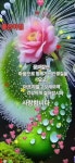 화요일,카톡인사 - ‥‥ⓔ미지 ♡ 자료실 - 향기있는 좋은글 향기있는 좋은글