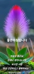 토요일,카톡인사 - ‥‥ⓔ미지 ♡ 자료실 - 향기있는 좋은글 향기있는 좋은글