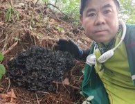 2020년 능이버섯정찰 산행 - 산삼 상황버섯 버섯 - 길메디칼 (의료기전문제작/수리)02-960-2203 2020년 능이버섯정찰 산행