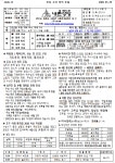 내촌- 2026년 3월 29일 주님 수난 성지 주일(가정 성화 주일) - 본당 주보 - 내촌 성당 내촌- 2026년 3월 29일 주님 수난 성지 주일(가정 성화... 