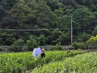 2025년 남서울교회 청년2부 노방전도1 - 교회 갤러리 - 산계교회 2025년 남서울교회 청년2부 노방전도1