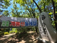 계룡산둘레길 금수봉 정상석 세움 생생포토 풍경 - 계룡산둘레길 - 대한민국둘레길걷기 계룡산둘레길 금수봉 정상석 세움 생생포토 풍경